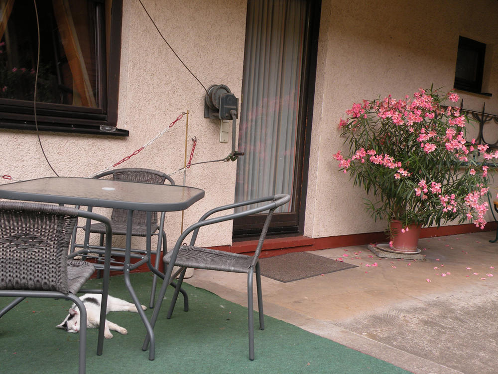 Apartments Schramm アイゼナハ エクステリア 写真