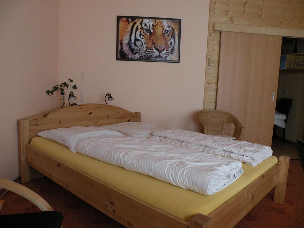 Apartments Schramm アイゼナハ 部屋 写真